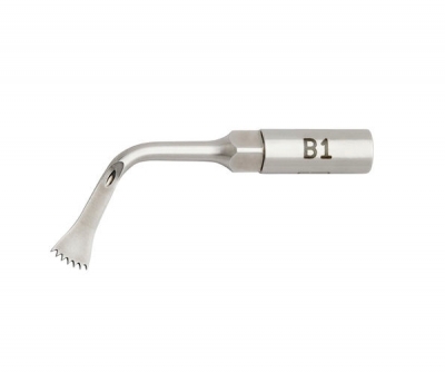 B1