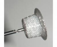 Cocoon Duct Occluder