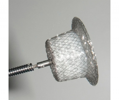 Cocoon Duct Occluder