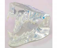D1050