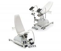 GYN / GYN-ex