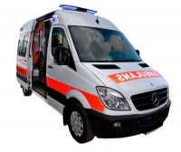 Intensive care ambulance / transport / van / type A