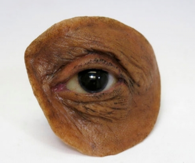 Orbital external cosmetic prosthesis / adult