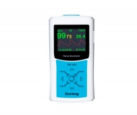 PM300