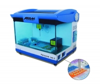 Personal Lab 2