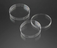 Petri dish 29042, 29182