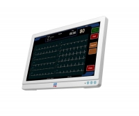 QED 2000