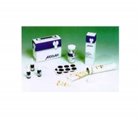 Rapid Testing