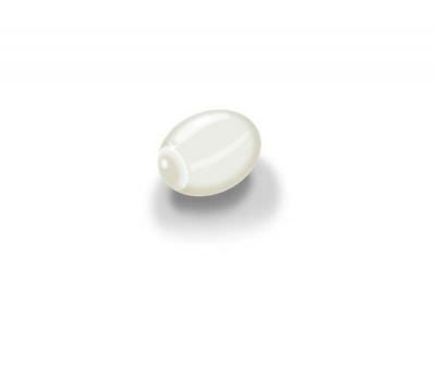 Testicular Implant