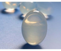 The N&S Testicular Prosthesis