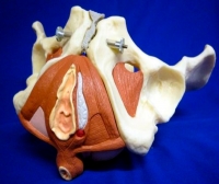 ZKK-267-A
