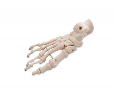 6041.40
